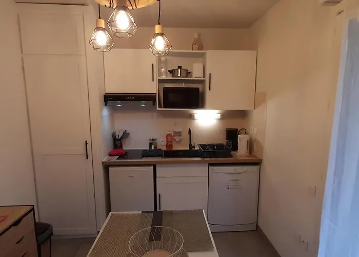 Du Chamois Roux, Dans Résidence De Tourisme 3 étoiles Appartement