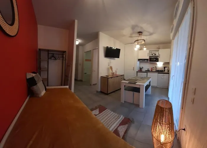 Du Chamois Roux, Dans Résidence De Tourisme 3 étoiles Lourdes