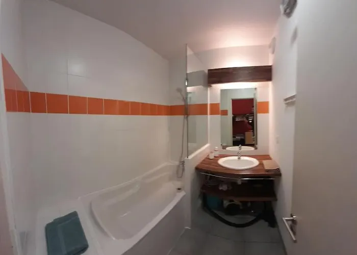 Du Chamois Roux, Dans Résidence De Tourisme 3 étoiles Appartement *