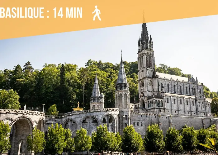 Du Chamois Roux, Dans Résidence De Tourisme 3 étoiles Appartement